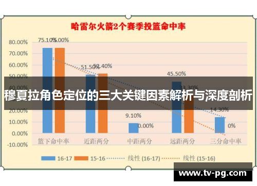 穆夏拉角色定位的三大关键因素解析与深度剖析
