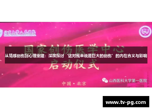 从情感创伤到心理重建：深度探讨‘这对我来说是巨大的创伤’的内在含义与影响