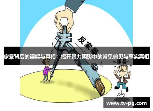 家暴背后的误解与真相：揭开暴力阴影中的常见偏见与事实真相