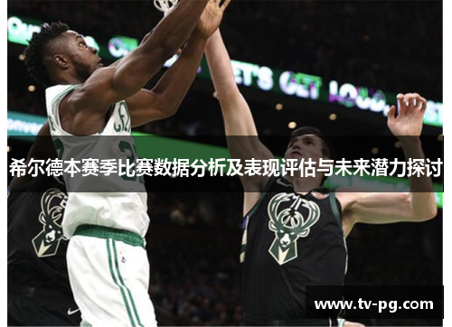 希尔德本赛季比赛数据分析及表现评估与未来潜力探讨