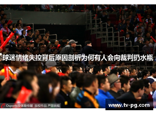 球迷情绪失控背后原因剖析为何有人会向裁判扔水瓶