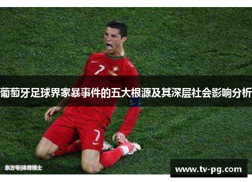 葡萄牙足球界家暴事件的五大根源及其深层社会影响分析