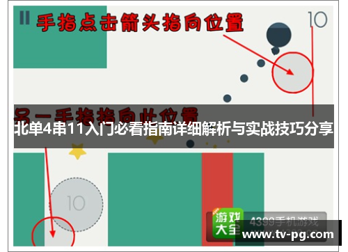 北单4串11入门必看指南详细解析与实战技巧分享