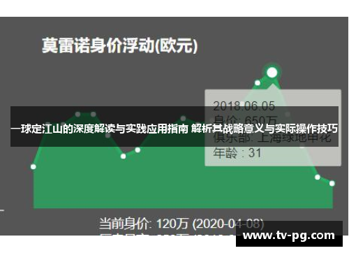 一球定江山的深度解读与实践应用指南 解析其战略意义与实际操作技巧