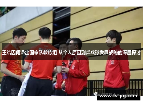 王皓因何退出国家队教练组 从个人原因到乒乓球发展战略的深层探讨