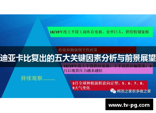 迪亚卡比复出的五大关键因素分析与前景展望