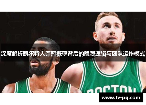 深度解析凯尔特人夺冠概率背后的隐藏逻辑与团队运作模式