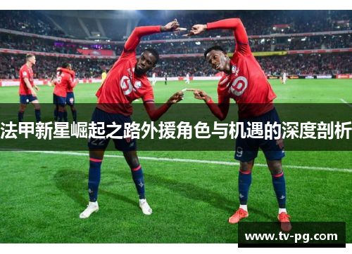 法甲新星崛起之路外援角色与机遇的深度剖析
