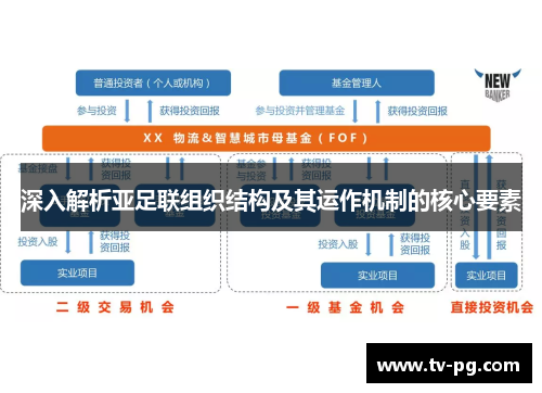 深入解析亚足联组织结构及其运作机制的核心要素 深入解析亚足联组织结构及其运作机制的核心要素