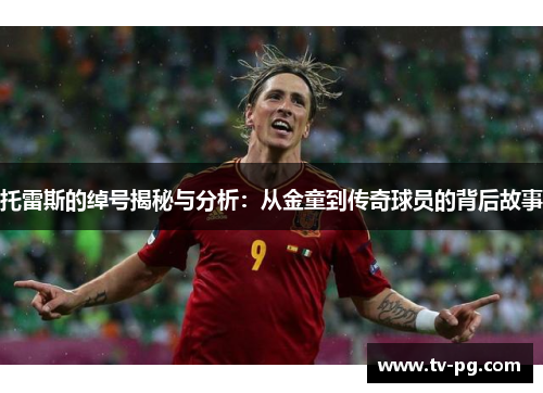 托雷斯的绰号揭秘与分析：从金童到传奇球员的背后故事