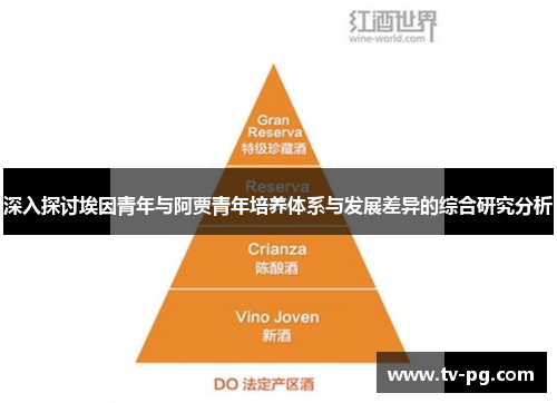 深入探讨埃因青年与阿贾青年培养体系与发展差异的综合研究分析