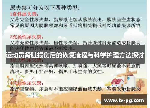 运动员肾脏损伤后的恢复流程与科学护理方法探讨