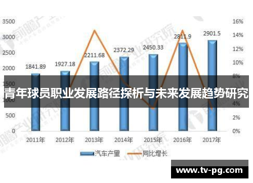 青年球员职业发展路径探析与未来发展趋势研究