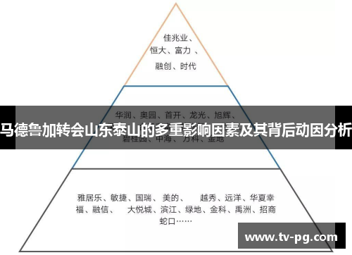马德鲁加转会山东泰山的多重影响因素及其背后动因分析